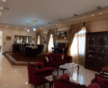 DSC 6770 370x300 - A Luxury House In Elefsina
