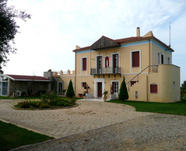 house 3 370x300 - Amaliada, Peloponesse’de 500 m2 villa + üzüm bağı