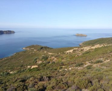 IMG 2569 370x300 - Evia'da (Eğriboz Adası) Deniz Manzaralı 5,2 Dönüm Parsel
