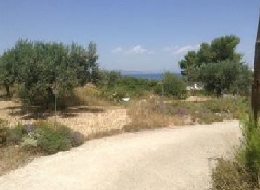 aigina2 370x270 - Nice Plot With Permit In Aegina Island